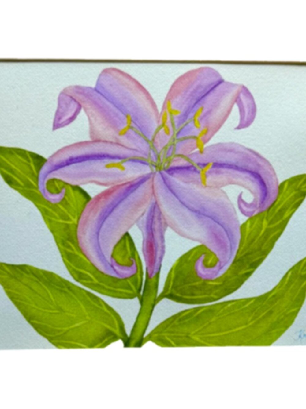 Painting Watercolor Flower Lily Lavender Purple Pink 11x14 & Mat 16x20